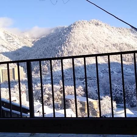 Tamara Διαμέρισμα Borjomi Εξωτερικό φωτογραφία