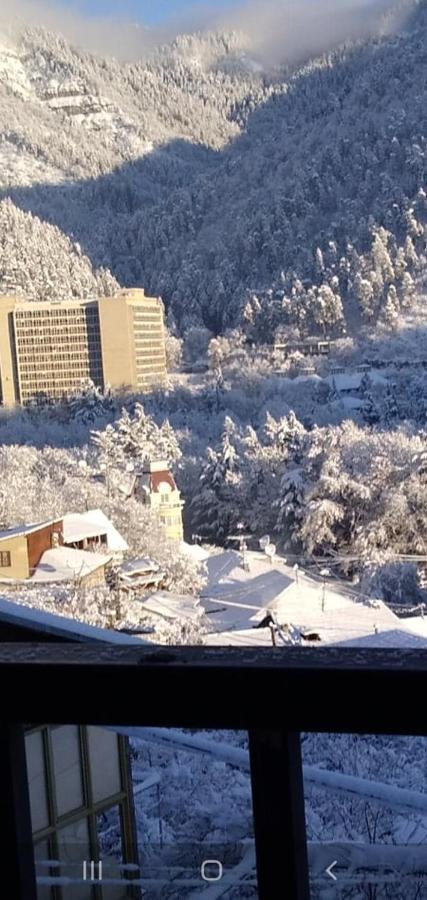 Tamara Διαμέρισμα Borjomi Εξωτερικό φωτογραφία