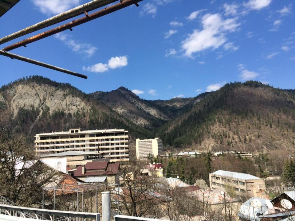 Tamara Διαμέρισμα Borjomi Εξωτερικό φωτογραφία